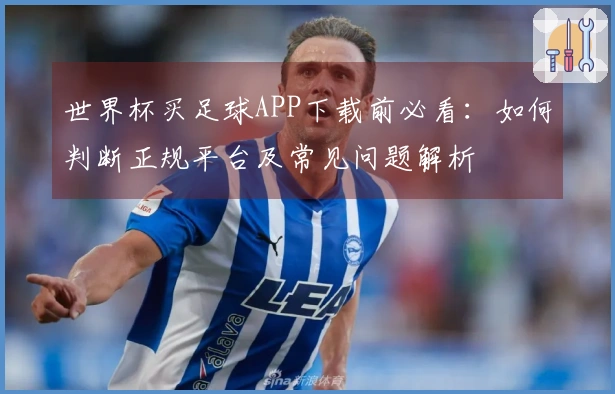 世界杯买足球APP下载前必看：如何判断正规平台及常见问题解析