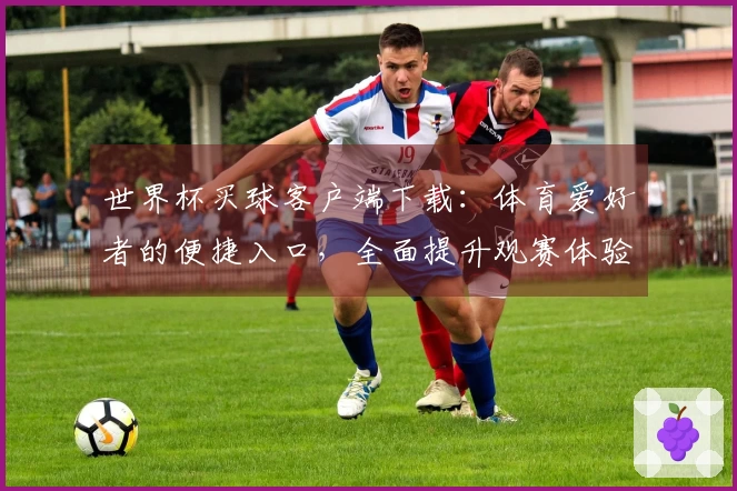 世界杯买球客户端下载：体育爱好者的便捷入口，全面提升观赛体验与功能选择