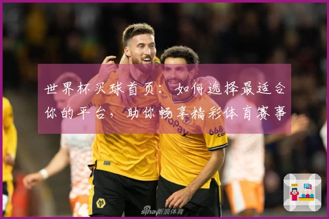 世界杯买球首页：如何选择最适合你的平台，助你畅享精彩体育赛事