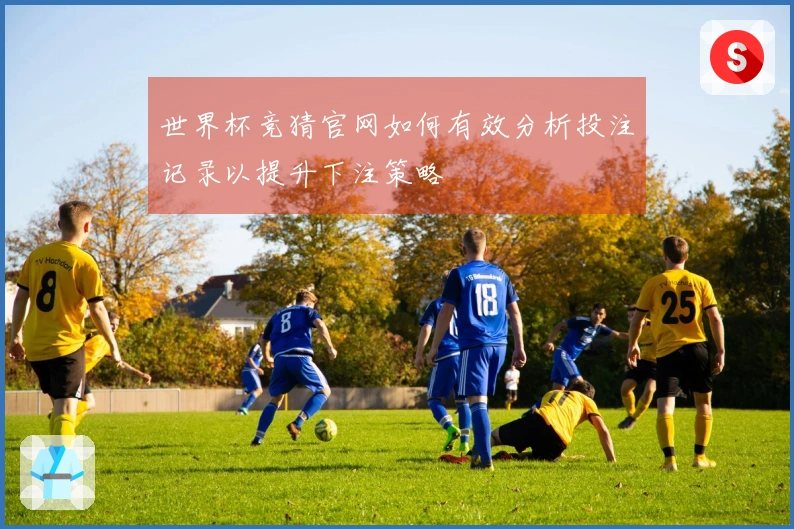 世界杯竞猜官网如何有效分析投注记录以提升下注策略