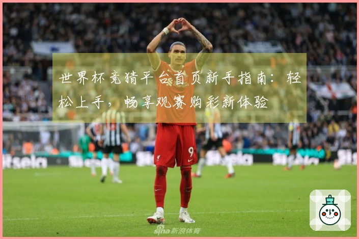 世界杯竞猜平台首页新手指南：轻松上手，畅享观赛购彩新体验