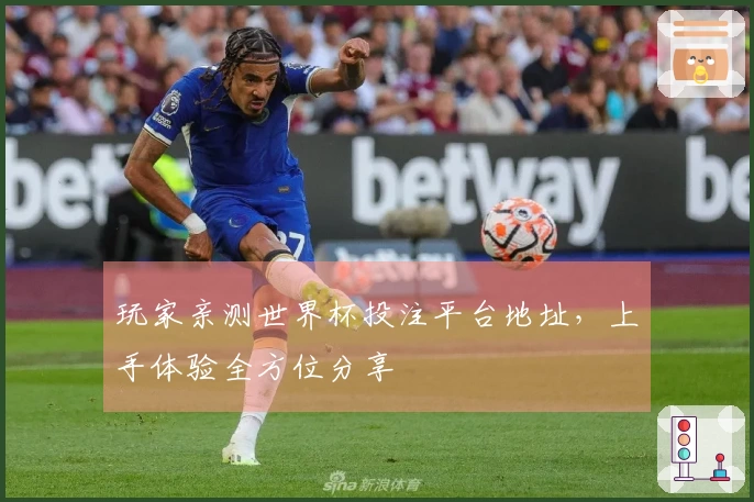 玩家亲测世界杯投注平台地址，上手体验全方位分享