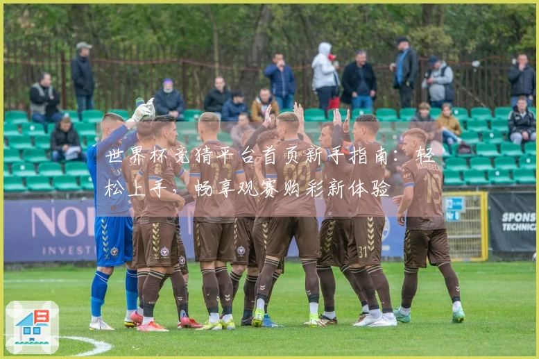 世界杯竞猜平台首页新手指南:轻松上手,畅享观赛购彩新体验