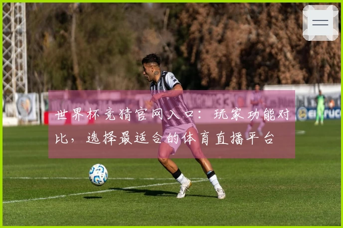 世界杯竞猜官网入口：玩家功能对比，选择最适合的体育直播平台