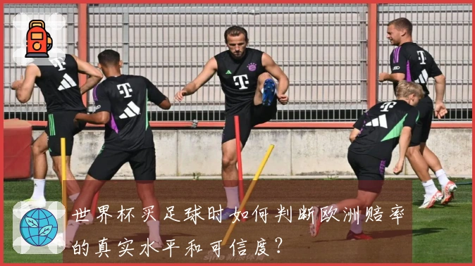 世界杯买足球时如何判断欧洲赔率的真实水平和可信度？
